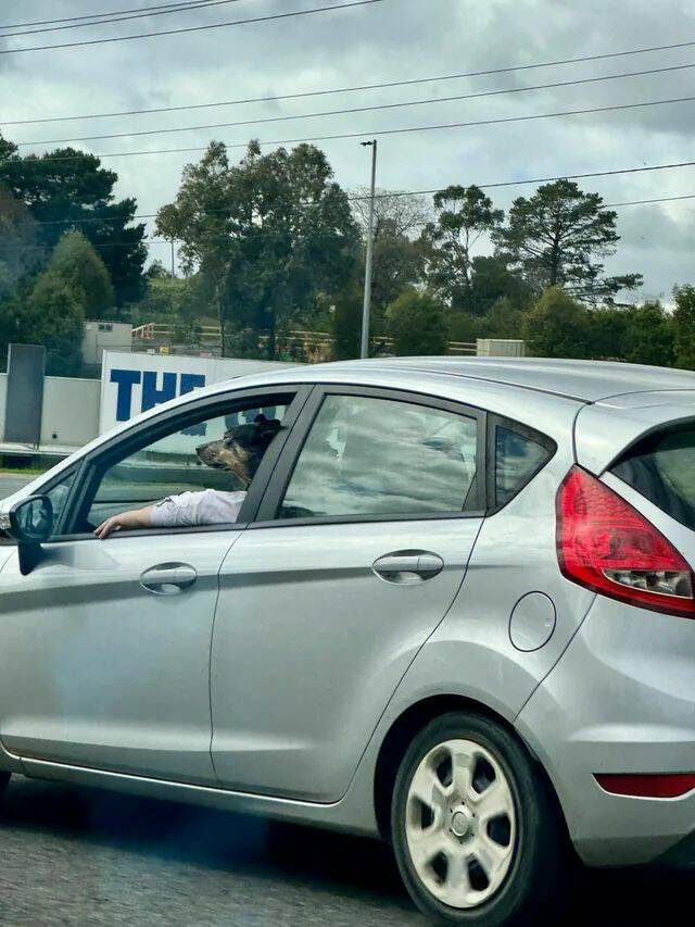 Daily Pictures. Part 1 (66 pics) Daily Pictures. Part 1 (66 pics)