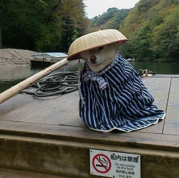 Daily Pictures. Part 1 (66 pics) Daily Pictures. Part 1 (66 pics)