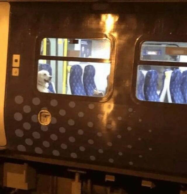 Daily Pictures. Part 1 (66 pics) Daily Pictures. Part 1 (66 pics)