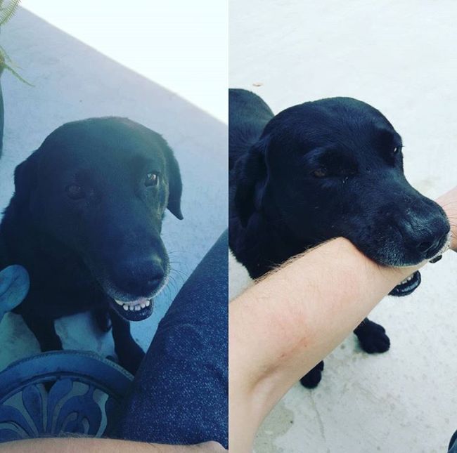 Daily Pictures. Part 1 (66 pics) Daily Pictures. Part 1 (66 pics)