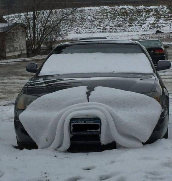 Daily Pictures. Part 1 (66 pics) Daily Pictures. Part 1 (66 pics)