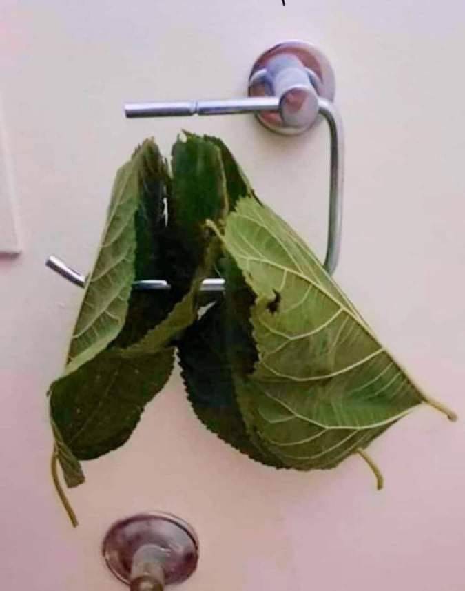 Daily Pictures. Part 1 (66 pics) Daily Pictures. Part 1 (66 pics)