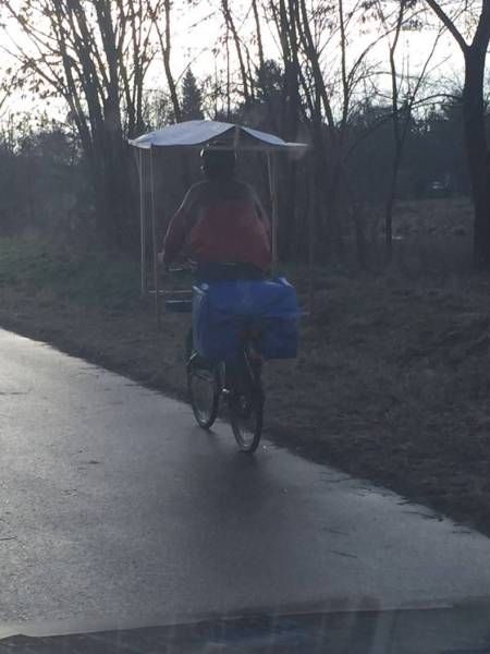 Daily Pictures. Part 1 (66 pics) Daily Pictures. Part 1 (66 pics)