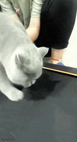 Acid GIFs, October 28 (25 gifs) Acid GIFs, October 28 (25 gifs)