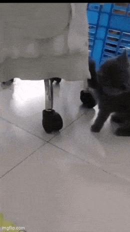 Acid GIFs, October 28 (25 gifs) Acid GIFs, October 28 (25 gifs)