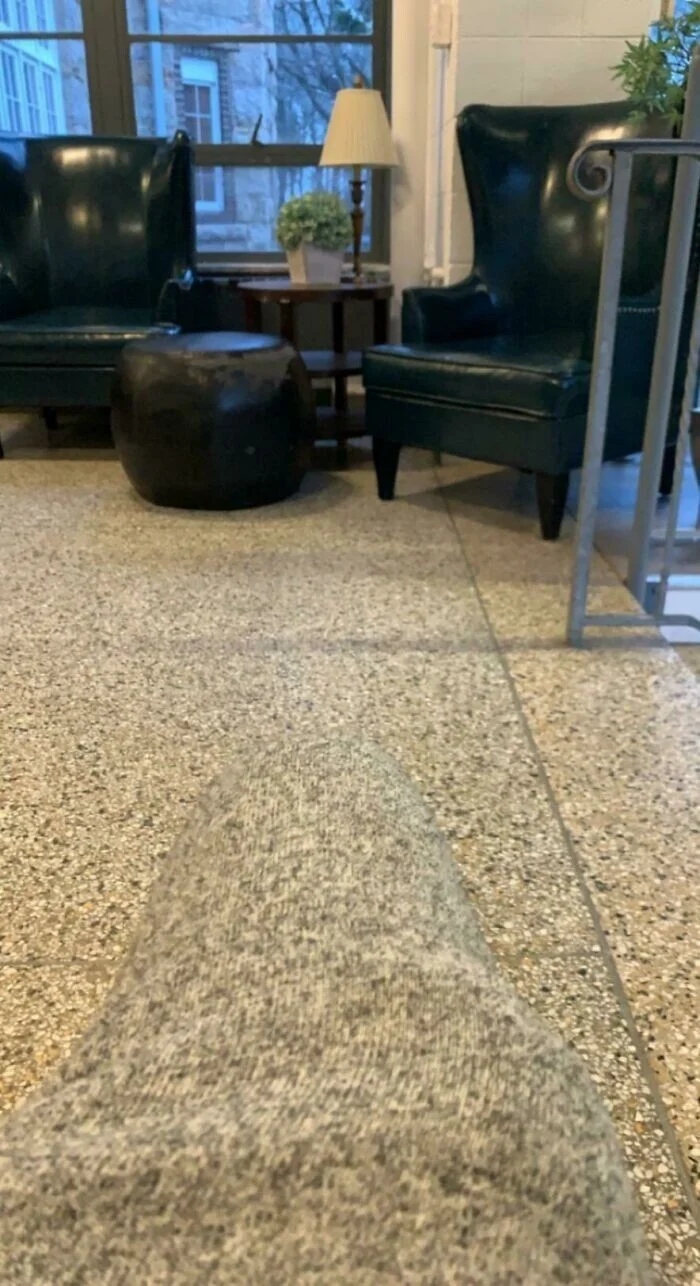 Perfect Camouflage (27 pics) Perfect Camouflage (27 pics)