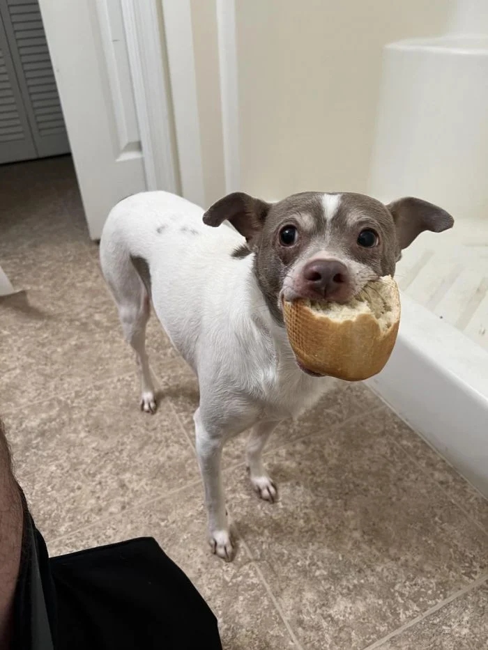 Bad Days Happen (27 pics) Bad Days Happen (27 pics)