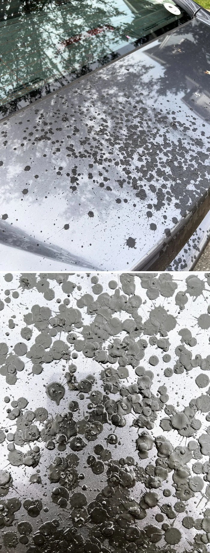 Bad Days Happen (27 pics) Bad Days Happen (27 pics)