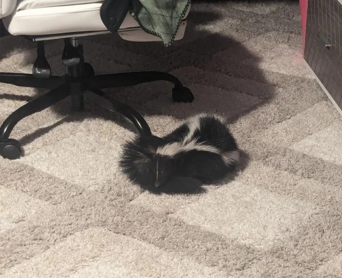 Bad Days Happen (27 pics) Bad Days Happen (27 pics)