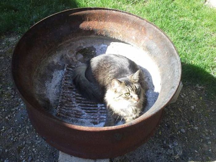 Daily Pictures. Part 1 (65 pics) Daily Pictures. Part 1 (65 pics)