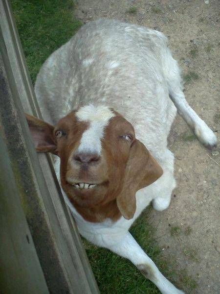 Daily Pictures. Part 1 (65 pics) Daily Pictures. Part 1 (65 pics)