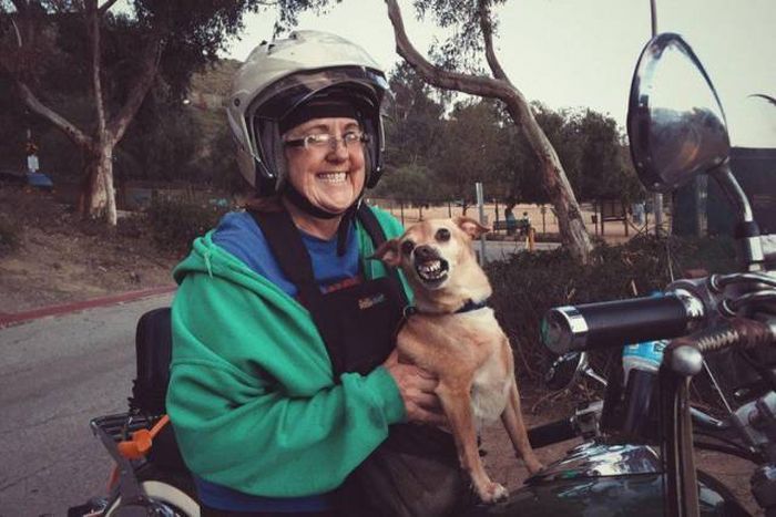 Daily Pictures. Part 1 (65 pics) Daily Pictures. Part 1 (65 pics)