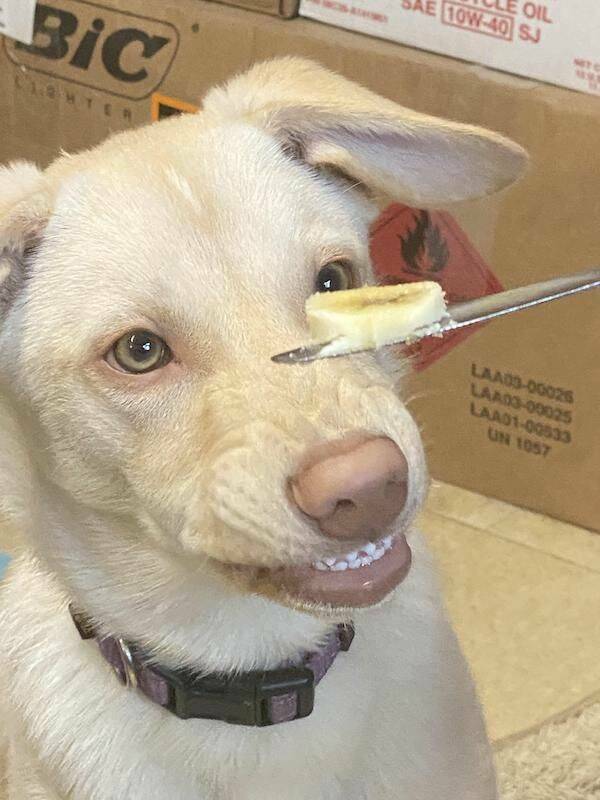 Daily Pictures. Part 2 (64 pics) Daily Pictures. Part 2 (64 pics)