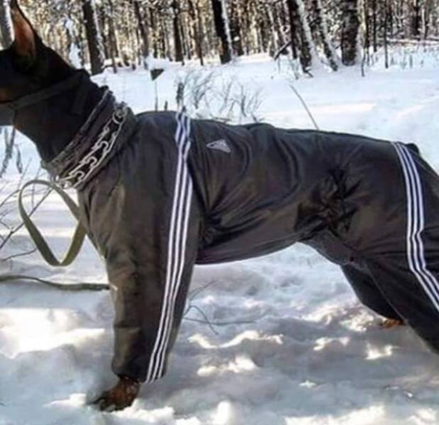 Daily Pictures. Part 1 (65 pics) Daily Pictures. Part 1 (65 pics)