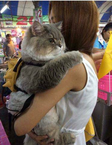 Daily Pictures. Part 1 (65 pics) Daily Pictures. Part 1 (65 pics)