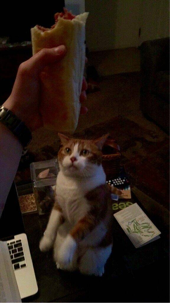 Daily Pictures. Part 1 (65 pics) Daily Pictures. Part 1 (65 pics)