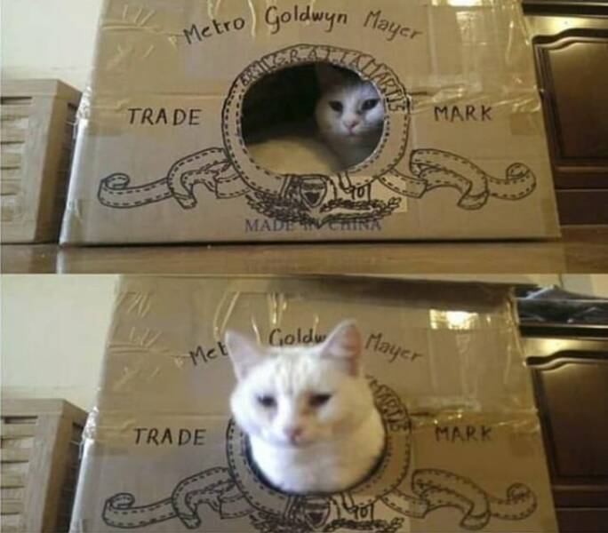 Daily Pictures. Part 1 (65 pics) Daily Pictures. Part 1 (65 pics)