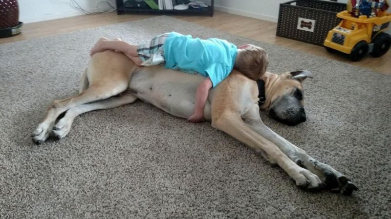 Daily Pictures. Part 1 (65 pics) Daily Pictures. Part 1 (65 pics)