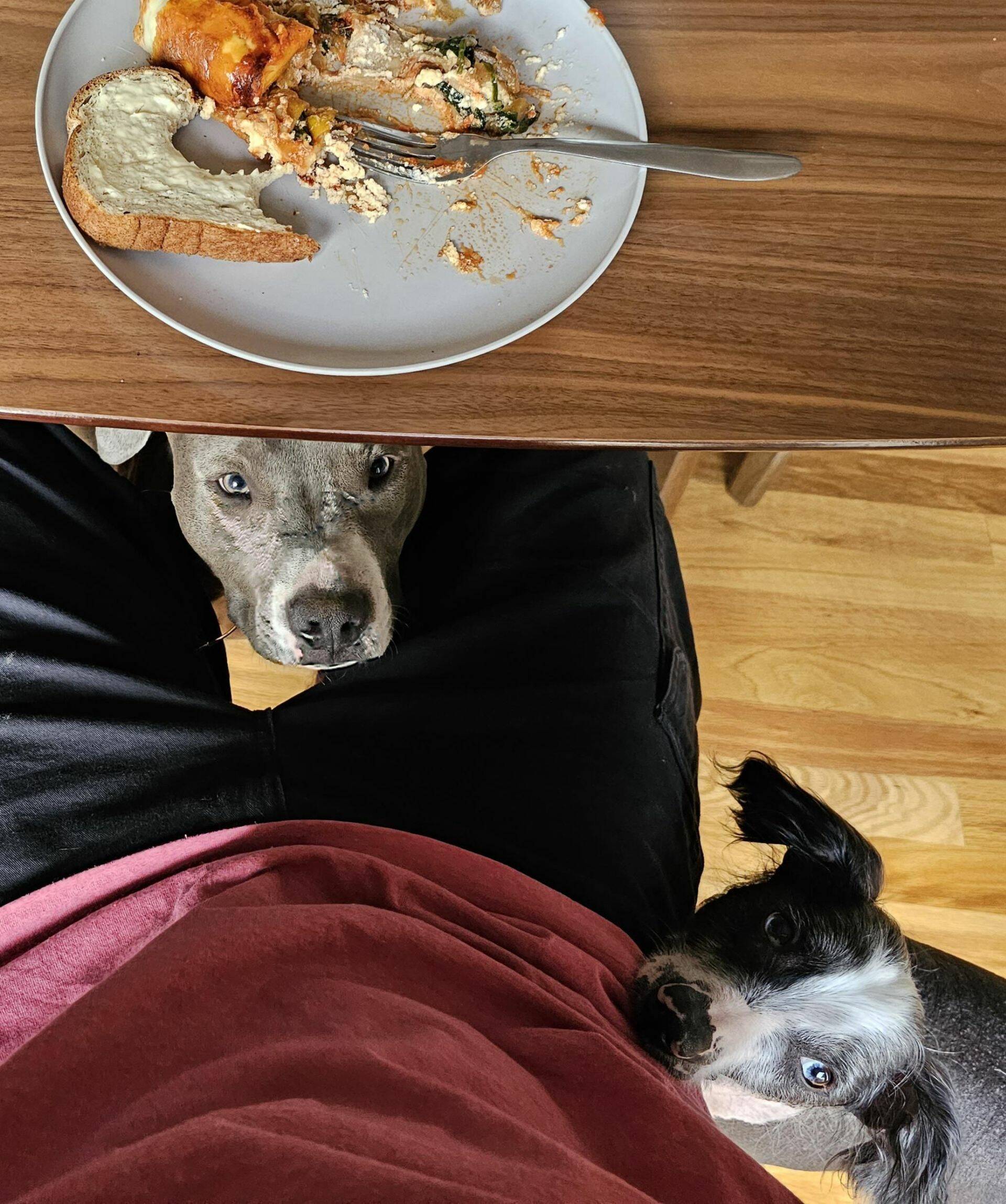 Daily Pictures. Part 1 (65 pics) Daily Pictures. Part 1 (65 pics)