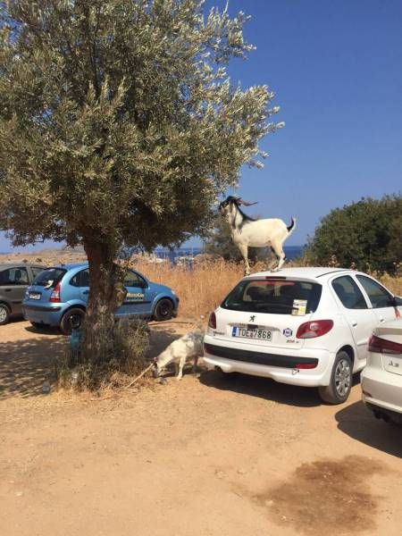 Daily Pictures. Part 2 (64 pics) Daily Pictures. Part 2 (64 pics)