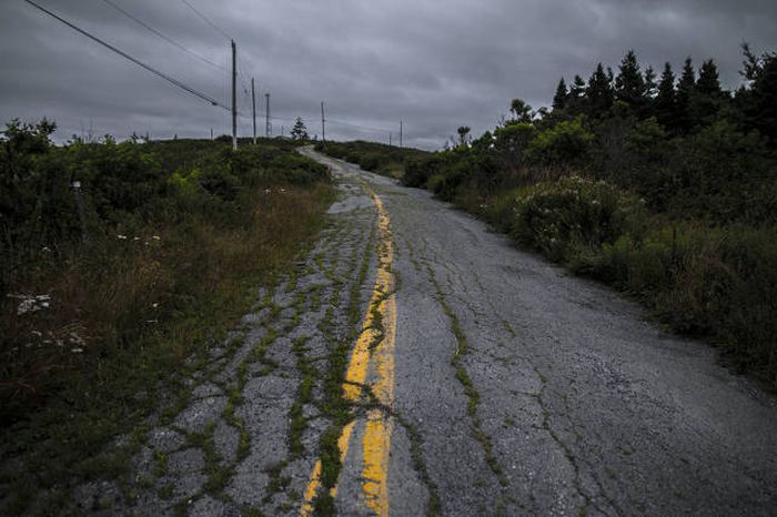 Daily Pictures. Part 2 (64 pics) Daily Pictures. Part 2 (64 pics)