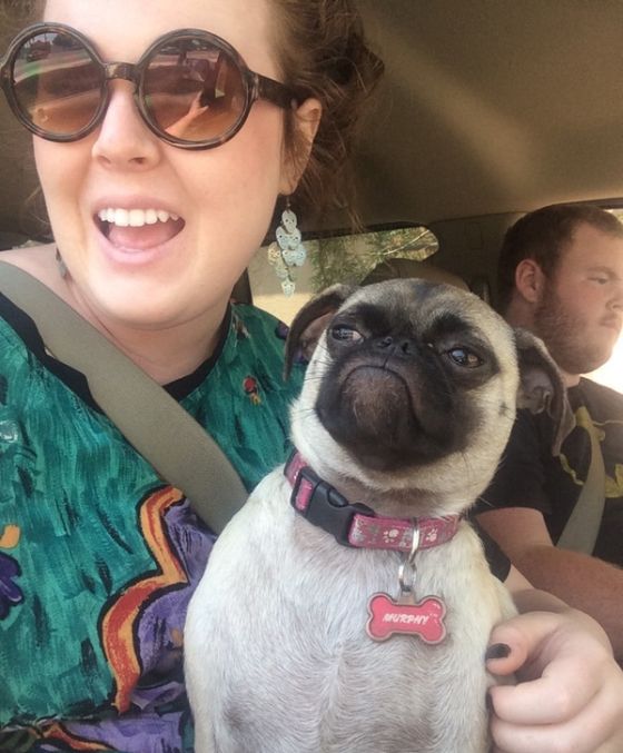 Daily Pictures. Part 1 (65 pics) Daily Pictures. Part 1 (65 pics)