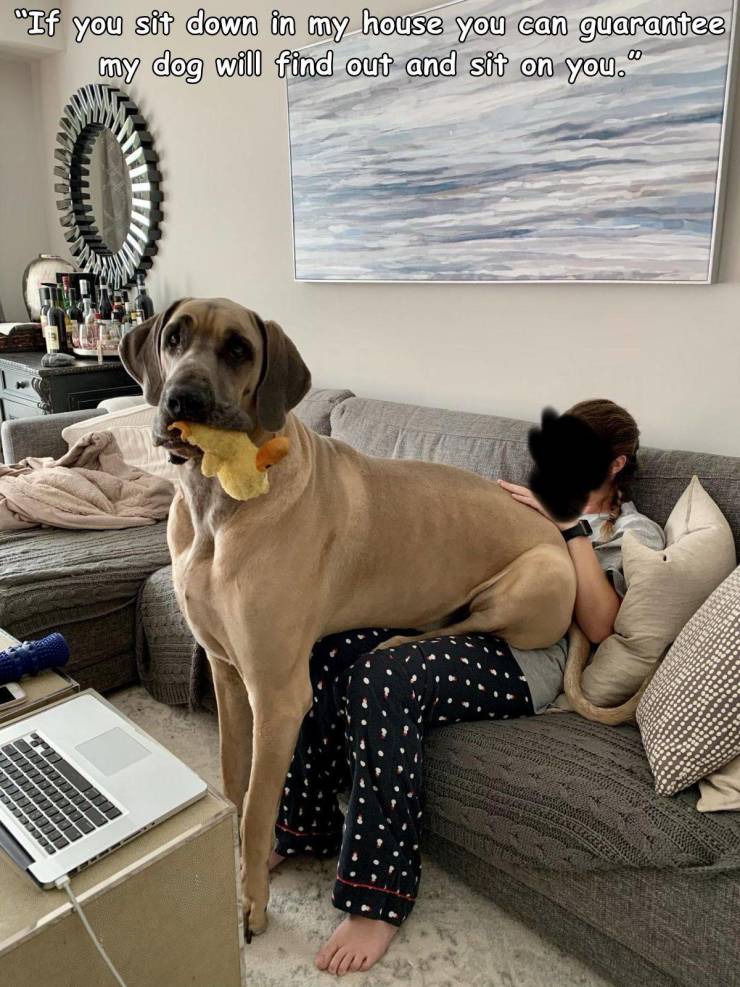 Daily Pictures. Part 2 (64 pics) Daily Pictures. Part 2 (64 pics)