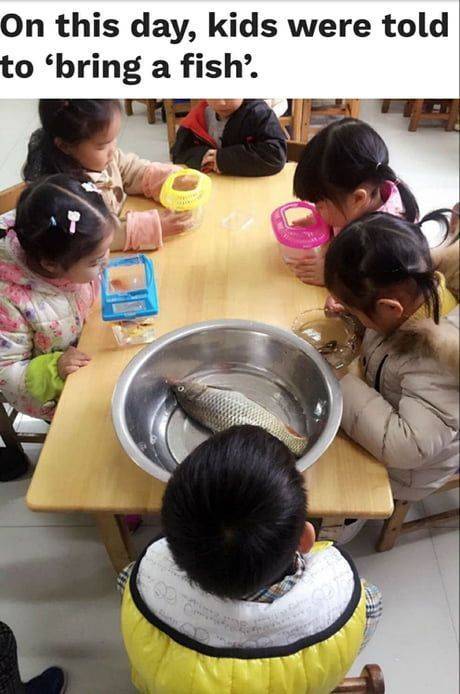 Daily Pictures. Part 2 (64 pics) Daily Pictures. Part 2 (64 pics)