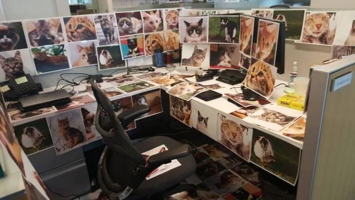 Annoying Situations (15 pics) Annoying Situations (15 pics)