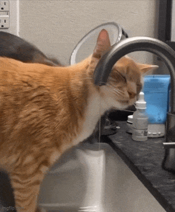 Acid GIFs, October 29 (25 gifs) Acid GIFs, October 29 (25 gifs)