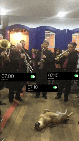 Acid GIFs, October 29 (25 gifs) Acid GIFs, October 29 (25 gifs)