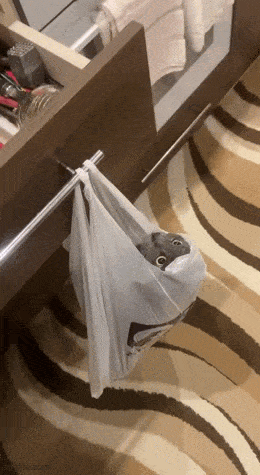 Acid GIFs, October 29 (25 gifs) Acid GIFs, October 29 (25 gifs)