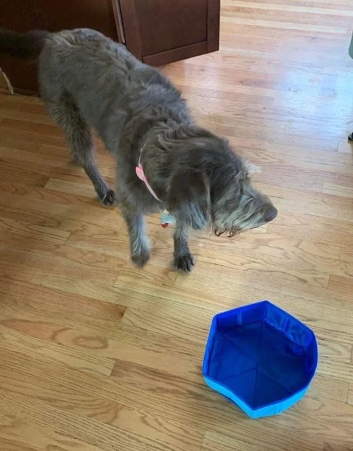 Failed Online Shopping (23 pics) Failed Online Shopping (23 pics)