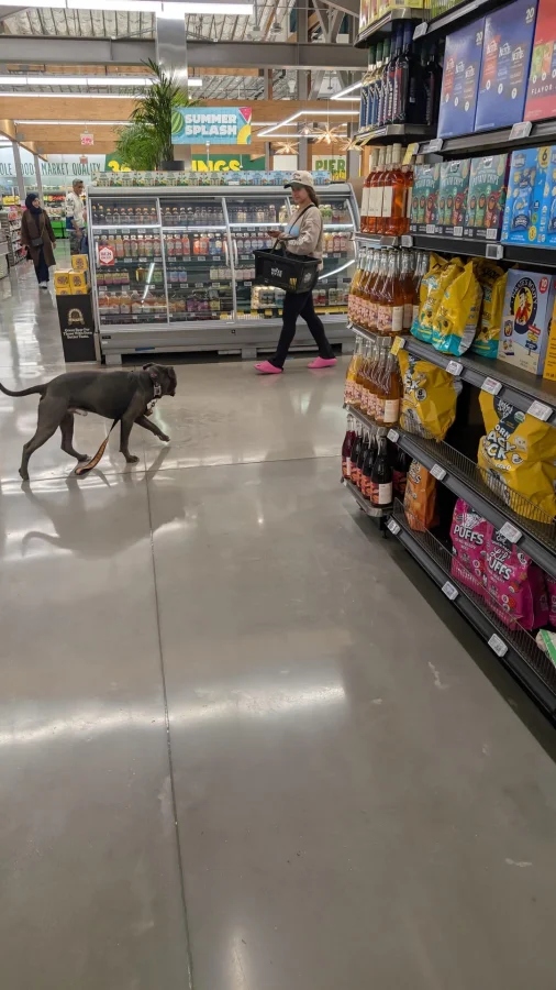 Annoying Finds And Situations (25 pics) Annoying Finds And Situations (25 pics)