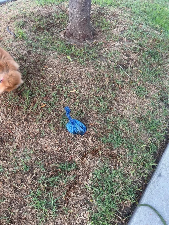 Annoying Finds And Situations (25 pics) Annoying Finds And Situations (25 pics)