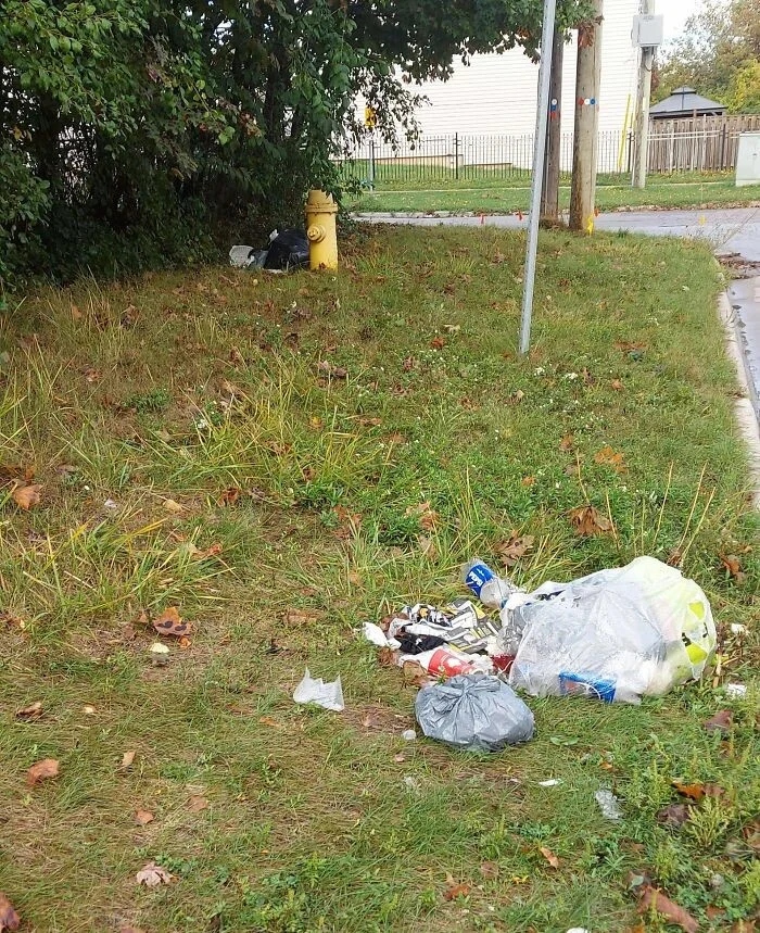 Annoying Finds And Situations (25 pics) Annoying Finds And Situations (25 pics)