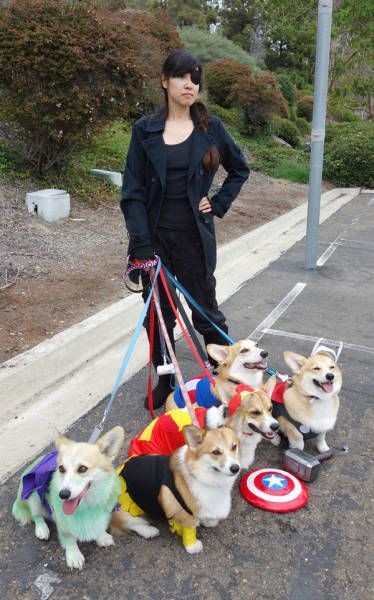 Daily Pictures. Part 1 (62 pics)