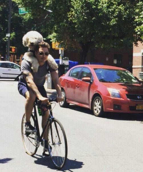 Daily Pictures. Part 1 (62 pics)