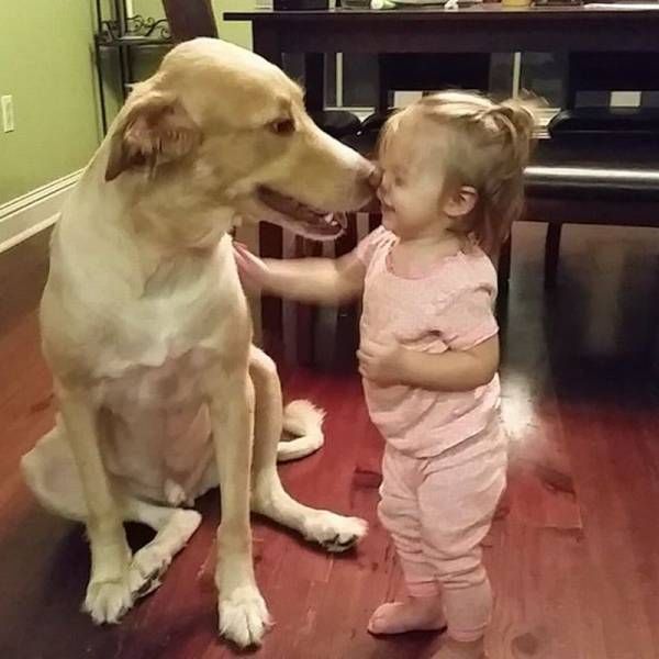 Daily Pictures. Part 1 (62 pics)