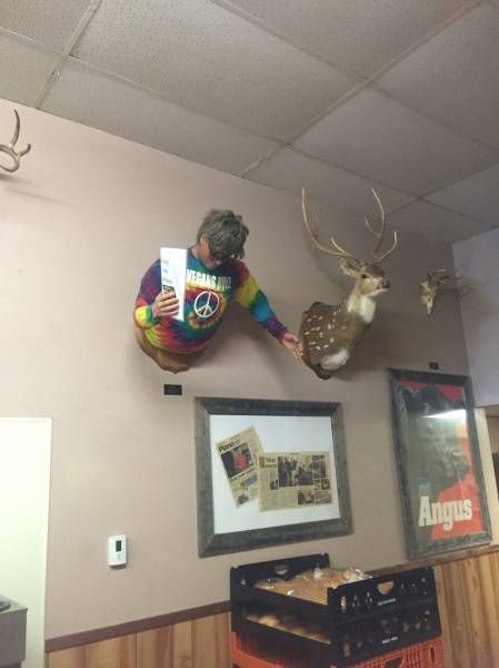 Daily Pictures. Part 1 (62 pics)