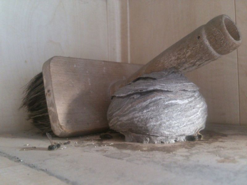 Daily Pictures. Part 1 (62 pics)