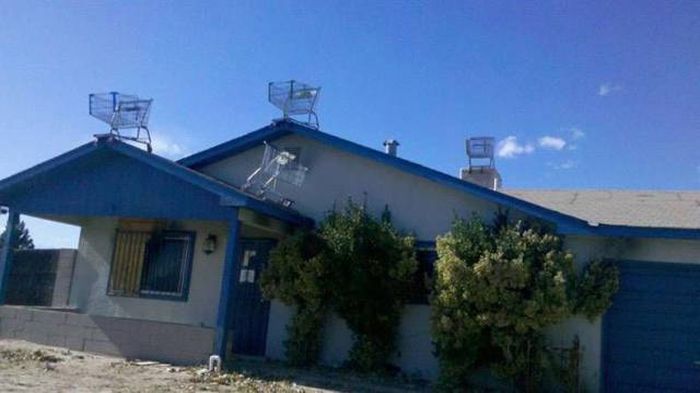 Daily Pictures. Part 1 (62 pics)