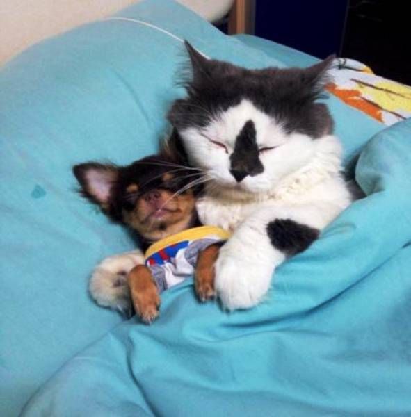 Daily Pictures. Part 1 (62 pics)