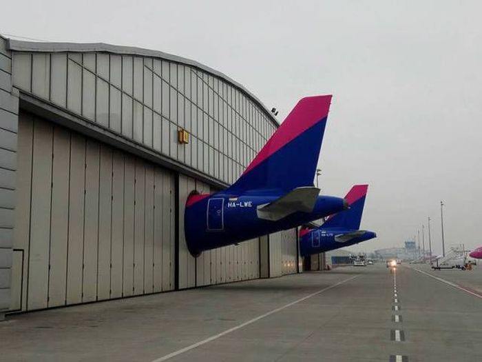 Daily Pictures. Part 1 (62 pics)