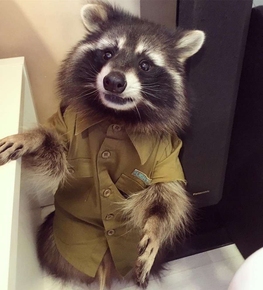 Daily Pictures. Part 2 (61 pics) Daily Pictures. Part 2 (61 pics)