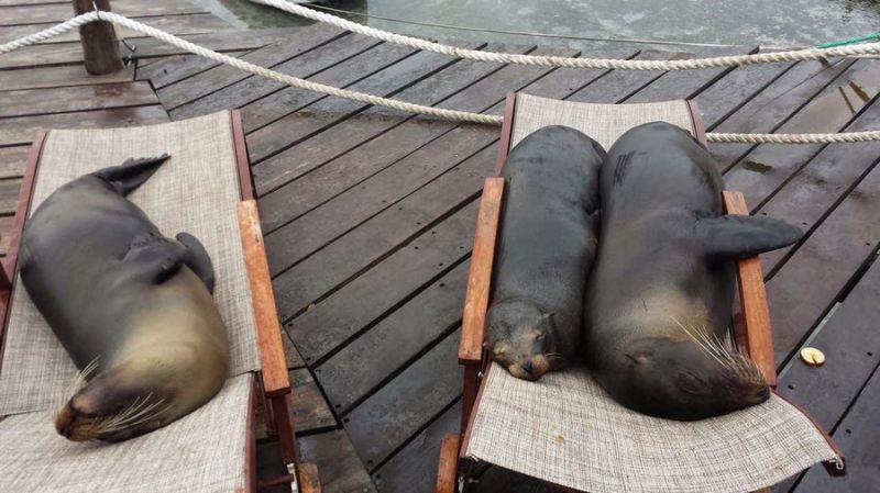 Daily Pictures. Part 2 (61 pics) Daily Pictures. Part 2 (61 pics)