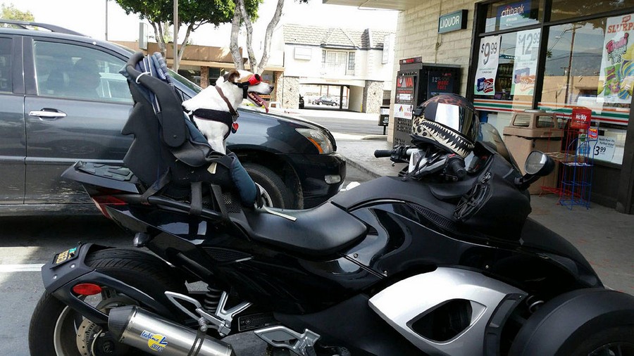 Daily Pictures. Part 2 (61 pics) Daily Pictures. Part 2 (61 pics)