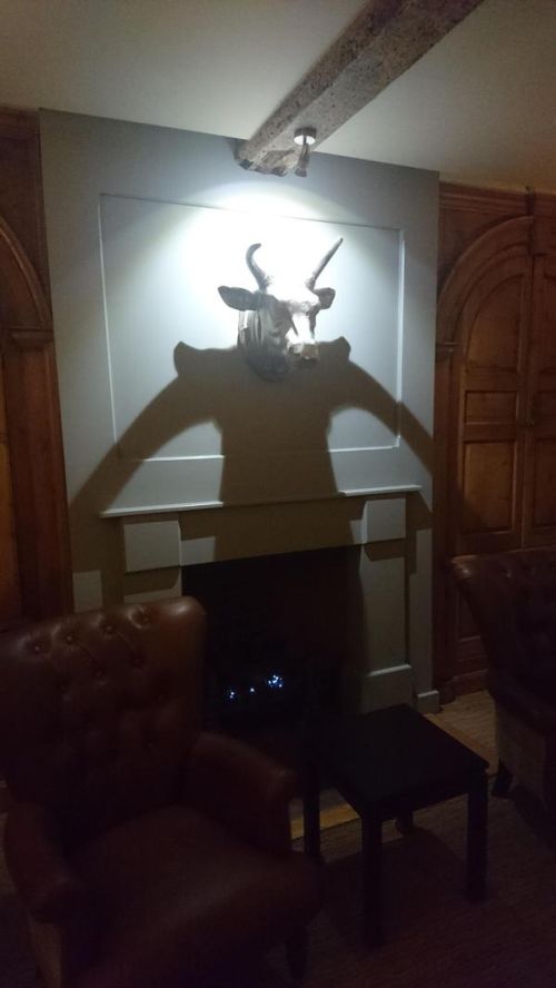 Daily Pictures. Part 1 (62 pics)