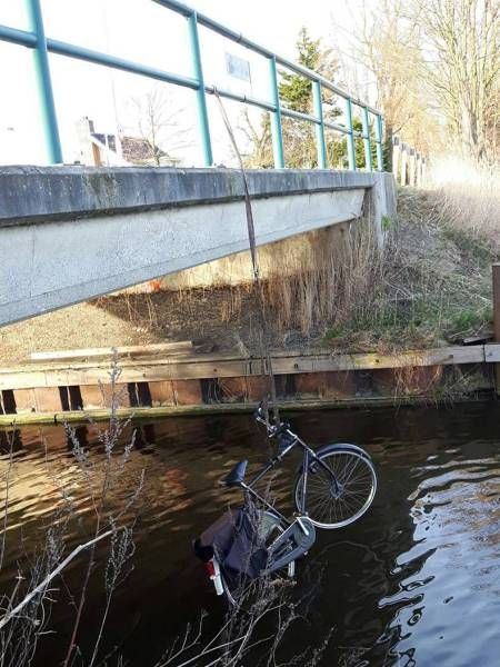 Daily Pictures. Part 1 (62 pics)