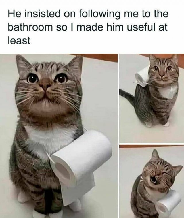 Daily Pictures. Part 2 (61 pics) Daily Pictures. Part 2 (61 pics)